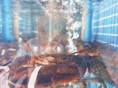 -大厨的餐厅(曾厝垵总店)