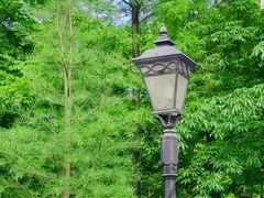 -广东花都湖国家湿地公园