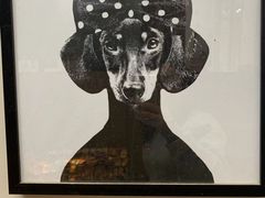 -多卡布奇宠物生活馆(上林世家店)