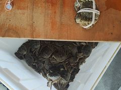 -阳澄湖大闸蟹·琼灵阁牌品牌连锁(吴中总店)