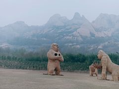 -嵖岈山风景区