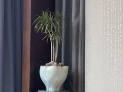 -水上明月·湖景餐厅