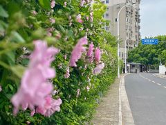 -锡师附小学(学前街校区)