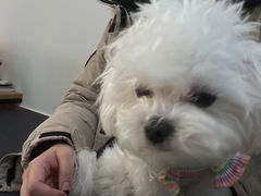 -美联众合动物医院·24h京西诊疗中心