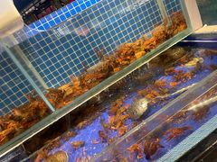 水产区-甄品麦哲伦海鲜和牛自助(万达广场店)