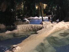 -中铁花水湾温泉酒店(大邑店)