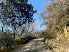-青龙山公园