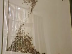 -璞禅足道(观音桥旗舰店)