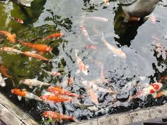 -鹅公村·国家非遗传承(荔湾店)