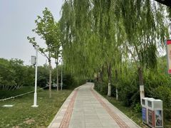 -南翠屏公园