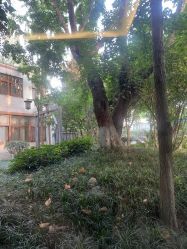 -莲生母婴月子中心(清水河公园店)
