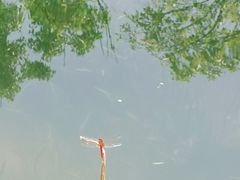 -雅达·阳羡溪山小镇中心