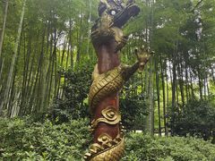 -杭州黄龙洞