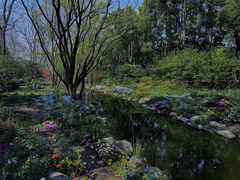 -上海共青森林公园