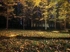 -河南省黄河迎宾馆