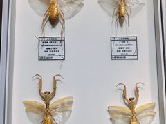 -烟台市博物馆
