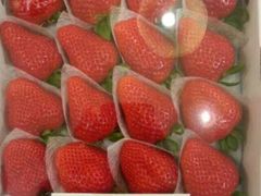 -崇光百货(铜锣湾店)