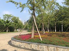 -天鹅湖体育公园
