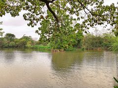 -西溪国家湿地公园