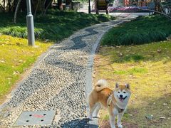 -蠡湖大桥公园