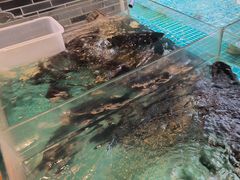 -巡耕记·湖南土菜(长湖店)