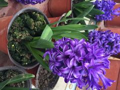 乐天花谷-乐天花谷