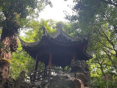 -秋霞圃