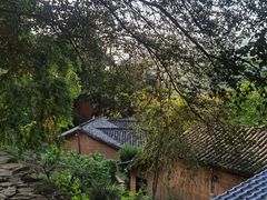 -杨家堂村