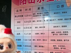 -老袁家蜜桃农场·阳山水蜜桃