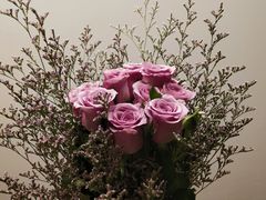 -静岸花卉园艺(三星坊店)