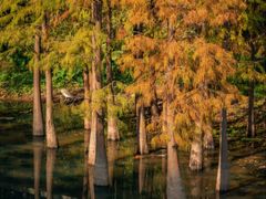 -麓湖高尔夫球俱乐部