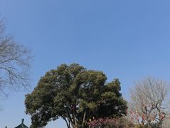 -无锡梅园公园
