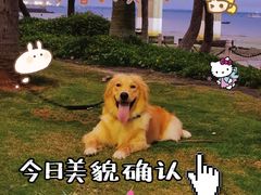 -中澳友谊花园