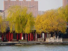 -济南大明湖景区