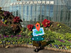 -花之城