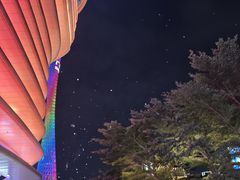 -海心沙亚运公园