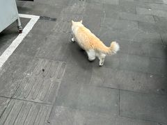 -沪水焙煎室(淡水路店)