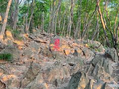 -紫金山山顶公园