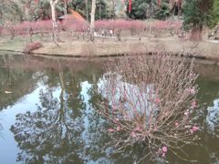 -桃花涧