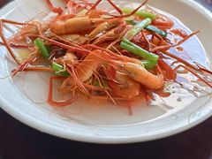 -四明山国家森林公园