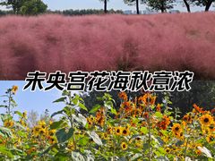 -汉长安城未央宫国家考古遗址公园