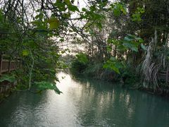 -桤木河湿地公园
