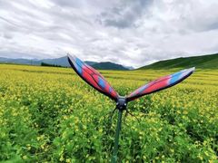 -扁都口生态休闲旅游区