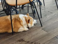 -肥朵食堂(带梦胡同店)