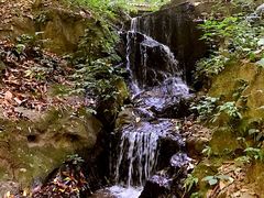 -莫里热带雨林景区