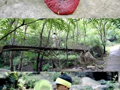 -云岫谷自然风景区