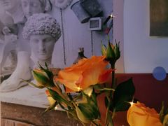 -御品轩(凤城二路店)