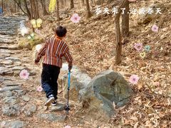 -阳台山自然风景区