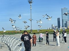 -东港音乐喷泉广场