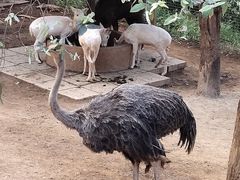 -昆明动物园